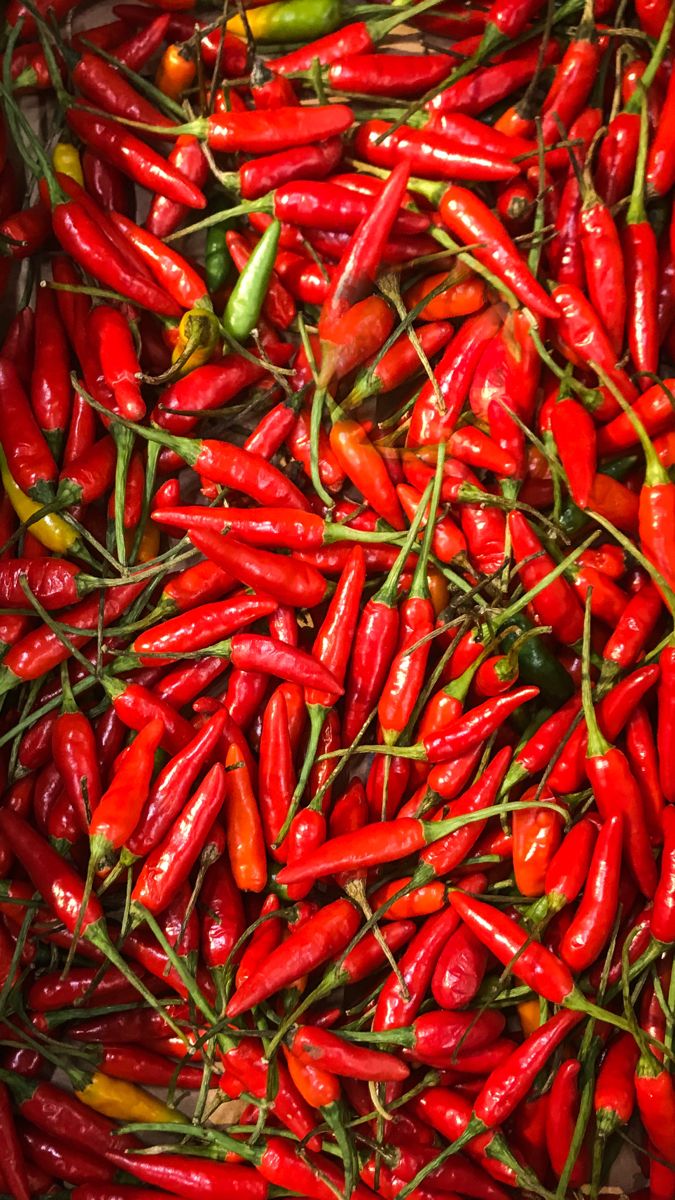Black Pepper Export